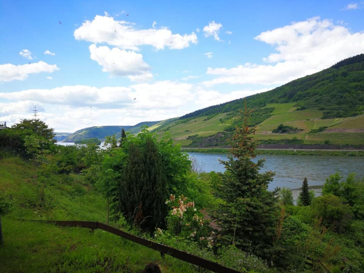 Wunderschoene Aussicht Garantiert Trechtingshausen Buitenkant foto