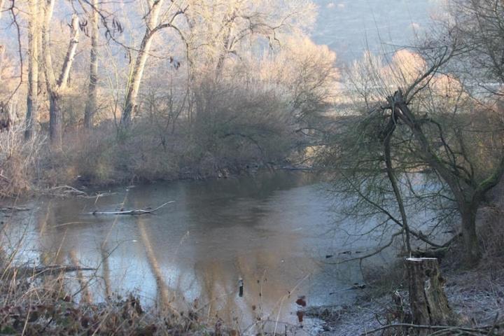Wunderschoene Aussicht Garantiert Trechtingshausen Buitenkant foto