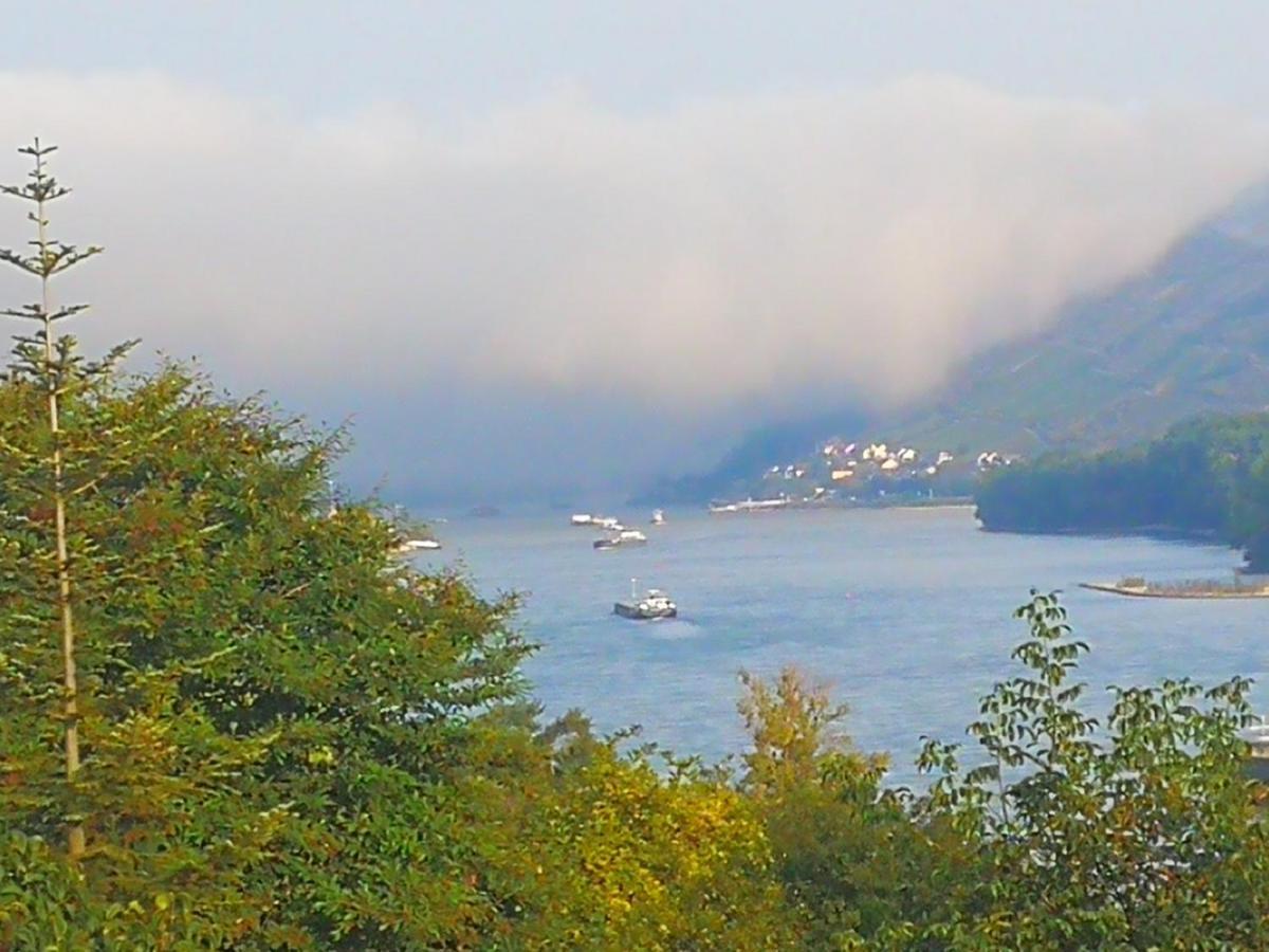 Wunderschoene Aussicht Garantiert Trechtingshausen Buitenkant foto